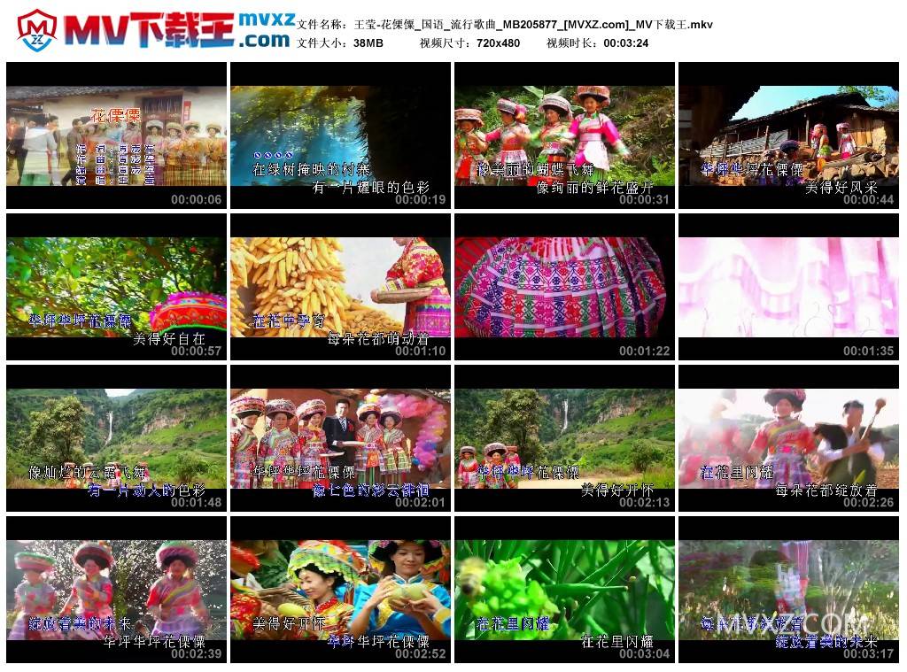 王莹-花傈僳_国语_流行歌曲_MB205877